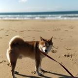 KYO avatar