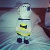 Teo avatar