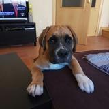 Vito avatar