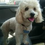 Sonny avatar