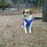 BELLA avatar