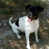 Dori avatar