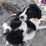 Oddy avatar