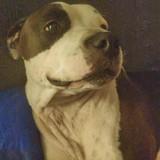 Lola avatar