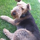 Charly avatar