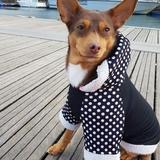 Kiara avatar