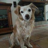 Coco avatar