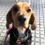 mafi avatar