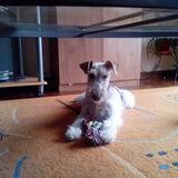Lurra avatar