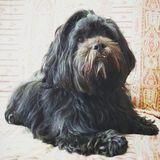 Noel avatar