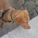 Tayron avatar