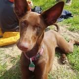 Keisy avatar