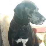 KIARA avatar