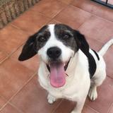 Shira avatar