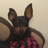Sara avatar
