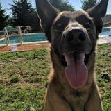 Rudy avatar