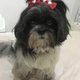 Kyra avatar