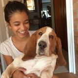 Bruno avatar
