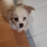 Cindy avatar