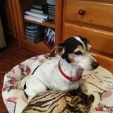 Lola avatar