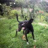 Soya Bagheera avatar