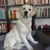 Greta avatar