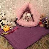 Hannia avatar