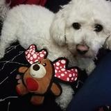 Enzo avatar