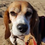 Matilda avatar