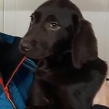 Nina avatar