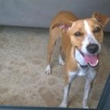 Lola avatar