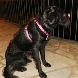 Rita avatar