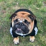 Mia avatar