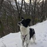 Zeta  avatar