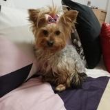 Mía  avatar