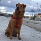 Mufi  avatar
