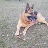 DALILA avatar