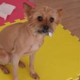 Chiqui avatar