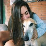 Pancho avatar