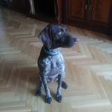 Crom avatar