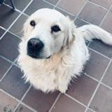 Barú  avatar