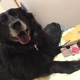 Lola avatar