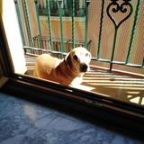  Bruno  avatar
