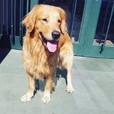 Zeus avatar