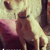TOBY avatar