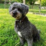 Shiloh avatar
