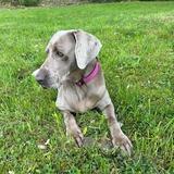 Greta avatar
