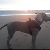 Grey avatar