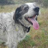 BRUCE avatar