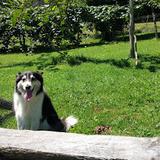 Dobra avatar